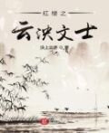 红楼之云泱文士