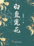 白瓷鱼盘价格