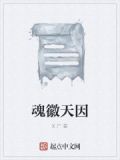 天魂套外观