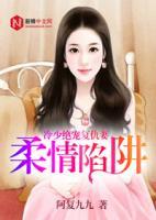书名《柔情陷阱》