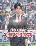 有fm足球经理app吗
